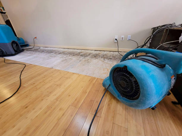 Professional Structural Drying technician working in Rutledge, GA